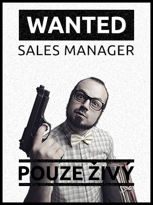 sales manager